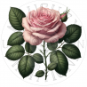 UVDTF - Roses Flowers (Medium 3-4 Inch)