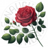 UVDTF - Roses Flowers (Medium 3-4 Inch)
