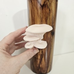 Fairy Tree House - Dimension Designs Upgrade (for 20oz Tumbler)